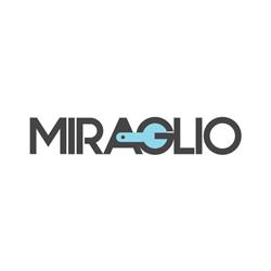 Miraglio Officina e Noleggio