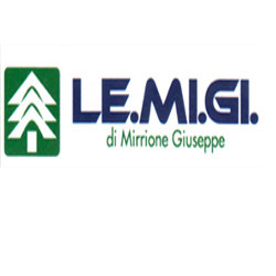Mirrione Le.Mi.Gi.
