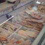 Pesce Congelato
