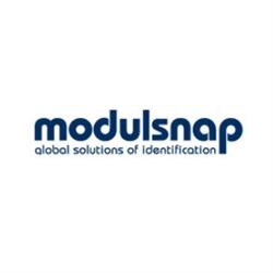 Modulsnap