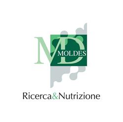Moldes SRL