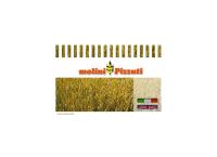 Molini Pizzuti