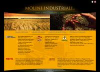 Molini Industriali (S.p.a.)