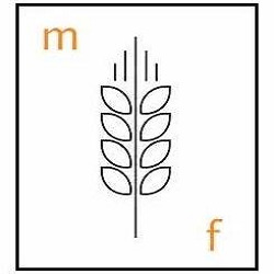 Molino Fochesato