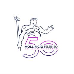 Mollificio Felsineo