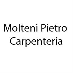 Molteni Pietro Carpenteria