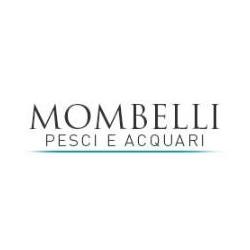 Acquari Mombelli