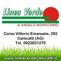 Linea Verde Di Angelo Monachino