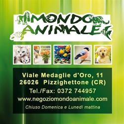 Mondo Animale