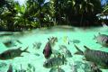 Vacanza da sogno in Malesia tra terra e mare con Mondovela Yachting& Vacanze. Dal 5 agosto