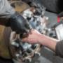 Gallery Professionale