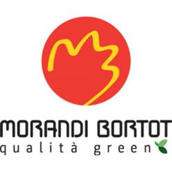 Morandi Bortot
