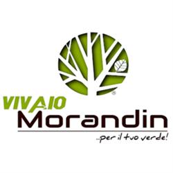 Vivaio Morandin