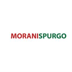 Morani Spurgo