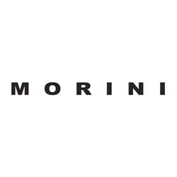 Morini