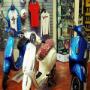 Gallery Cliente