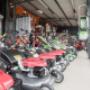 Gallery Professionale