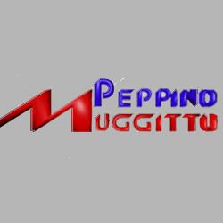 Peppino Muggittu Giardinaggio