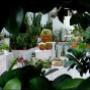 Realizzazione Giardini