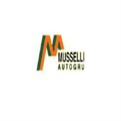 Musselli Autogru e Piattaforme