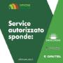 Gallery Professionale