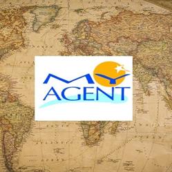 My Agent