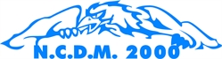 N.c.d.m. 2000 Di A.di Fiore