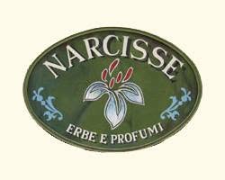 Narcisse