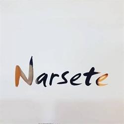 Narsete Biagio Snc