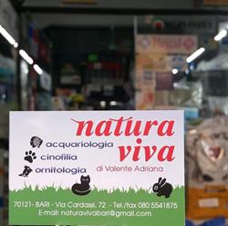 Natura Viva Di Valente Adriana