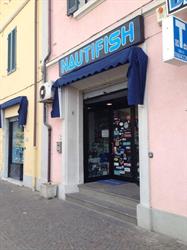 Nautifish