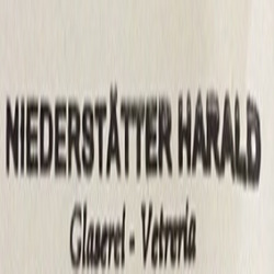 Niederstaetter Harald