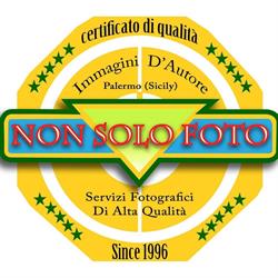 Non Solo Foto Di Arrigo Vincenzo