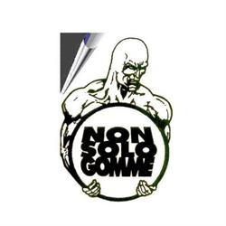 Non solo gomme di Maurizio Favero