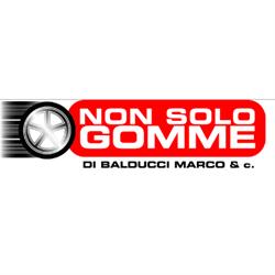 Non Solo Gomme