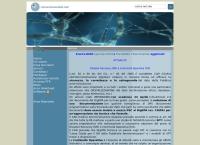 Nonsolomoduli SRL