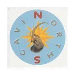 Northscavi