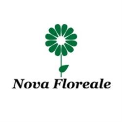 Nova Floreale Di Nadia Lagetti S.a.s.