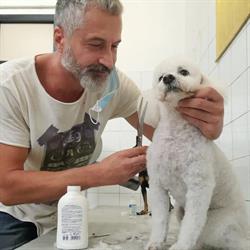 Nuova Arca Di Noe' Di Dabizzi Dario