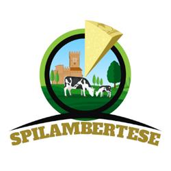 Nuova Cooperativa Casearia Spilambertese