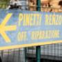 Gallery Professionale