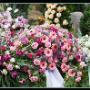 Fiori per Funerali