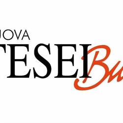 Nuova Tesei Bus SRL