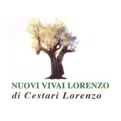 Nuovi Vivai Lorenzo di Cestari Lorenzo