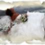 Matrimonio 3