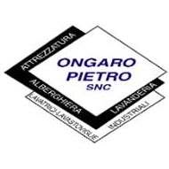 Ongaro Pietro