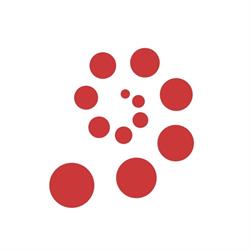Opera Prima SRL