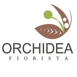 Orchidea Piante Fiori Di Antonella Paternostro Antonella