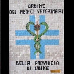 Ordine Dei Veterinari Della Provincia Di Udine