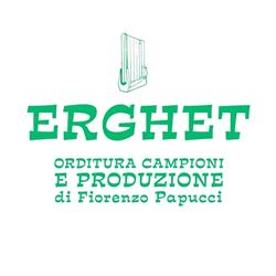 Orditura Campioni Erghet Di Papucci e C. SNC